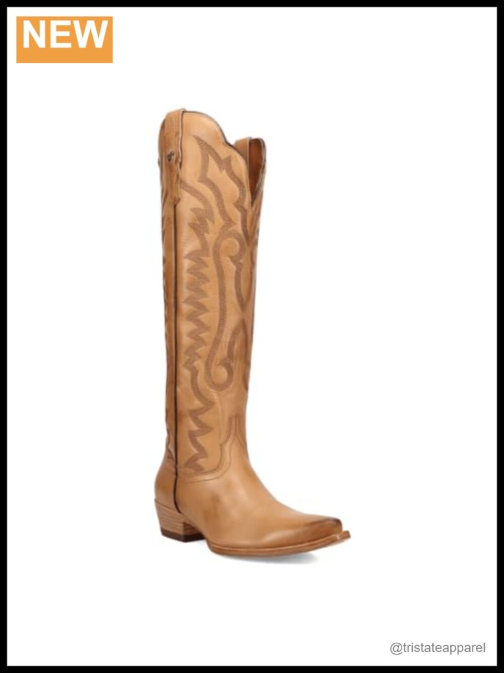 Dan Post Snip Toe Zippered Pull-On Leather Boots